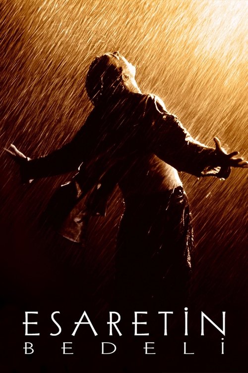 Esaretin Bedeli (1994) izle